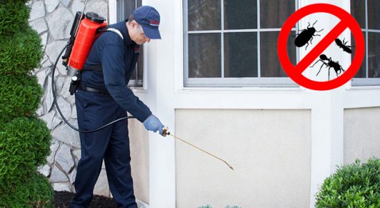 Mazıdağı Sivrisinek İlaçlama böcek ilaçlama ve haşere kontrolü — ilaclama-tr.com